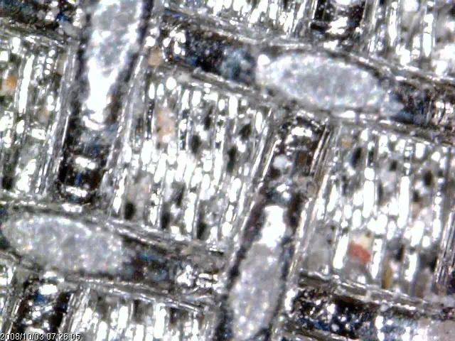 Agen tested filter BallastSafe Sample Agen tested filter BallastSafe Sample